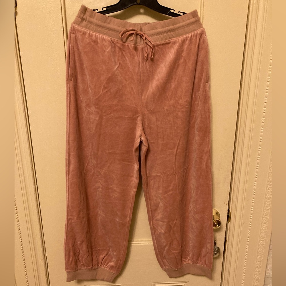Velour Drawstring Jogger Pants - Dusty Rose